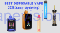Best Disposable Vape 2024