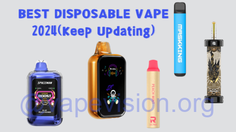 Best Disposable Vape 2024