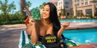 Hidden Hills Vape Review Cannabinoids, Performance and Buyer's Guide